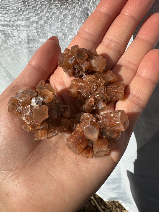 Aragonite Rough