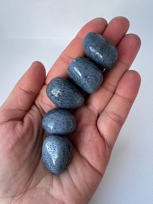 Blue Coral Tumbled Stone