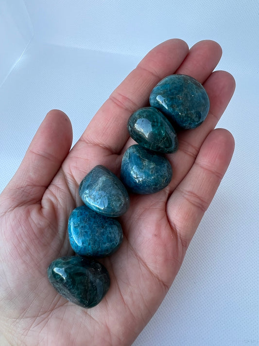 Blue Apatite Tumbled Stone