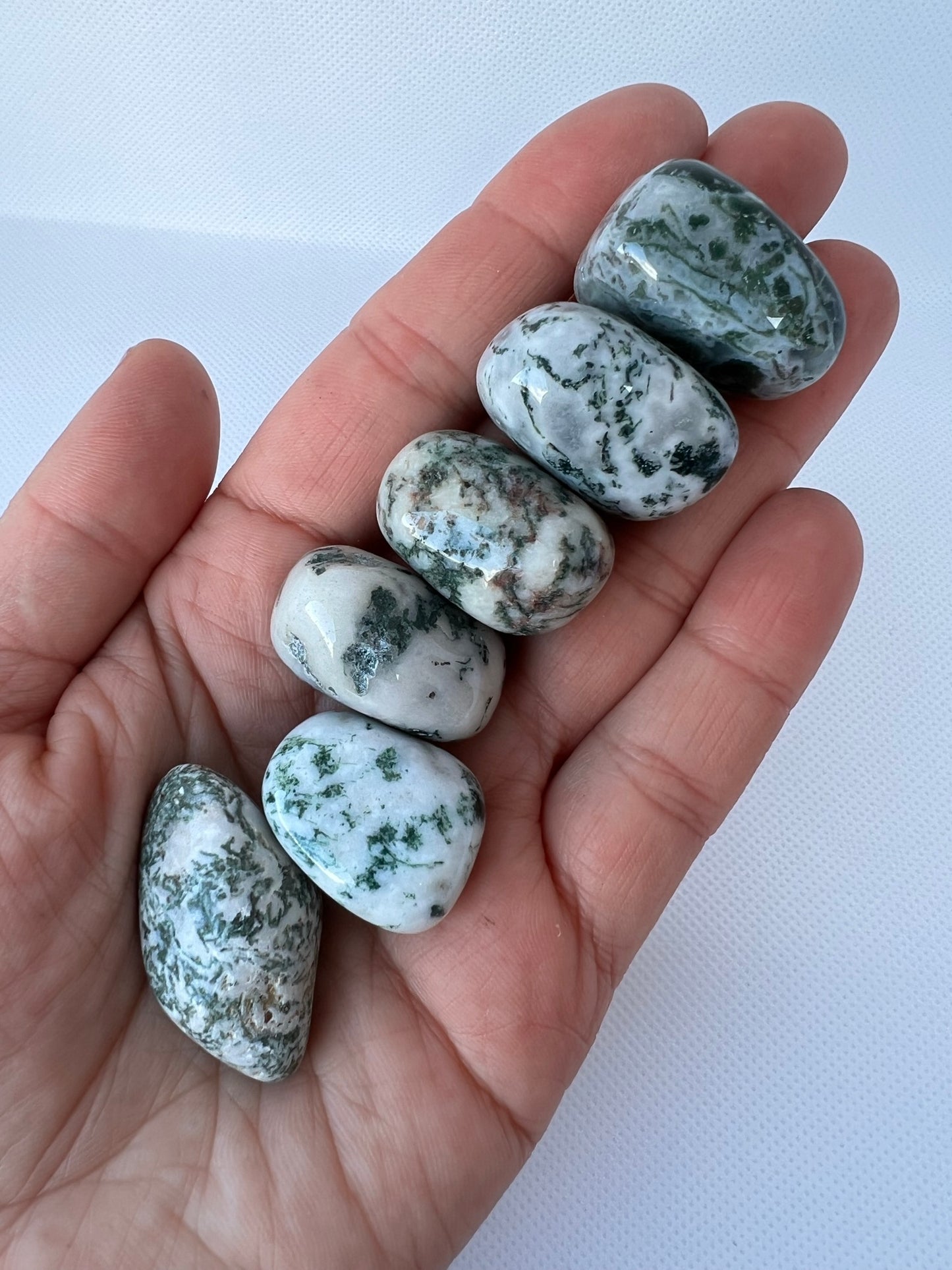 Tree Agate Tumbled Stone